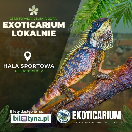 EXOTICARIUM LOKALNIE Targi Terrarystyczne Jelenia Góra - targi