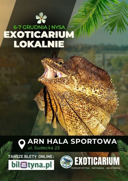 EXOTICARIUM LOKALNIE Targi Terrarystyczne Nysa dwudniowe 6-7 grudnia - targi