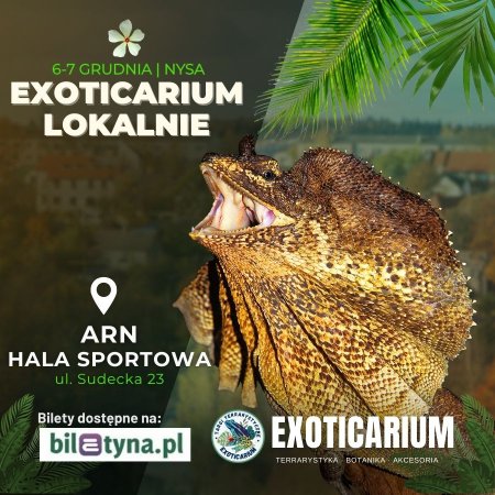 EXOTICARIUM LOKALNIE Targi Terrarystyczne Nysa dwudniowe 6-7 grudnia - targi