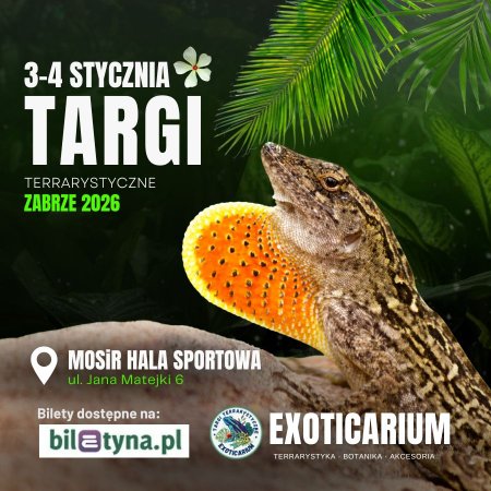 EXOTICARIUM Targi Terrarystyczne Zabrze dwudniowe 3-4 stycznia - targi