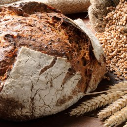 Bread and Butter Story - kulinarna opowieść o chlebie i dodatkach - inne