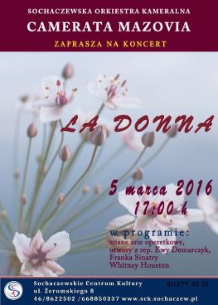Sochaczewska Orkiestra Kameralna Camerata Mazovia - koncert