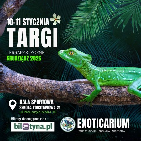 EXOTICARIUM Targi Terrarystyczne Grudziądz dwudniowe 10-11 stycznia - targi