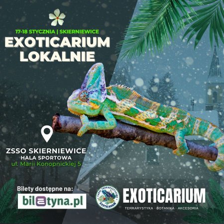 EXOTICARIUM LOKALNIE Targi Terrarystyczne Skierniewice dwudniowe 17-18 stycznia - targi