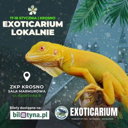 EXOTICARIUM LOKALNIE Targi Terrarystyczne Krosno dwudniowe 17-18 stycznia - targi