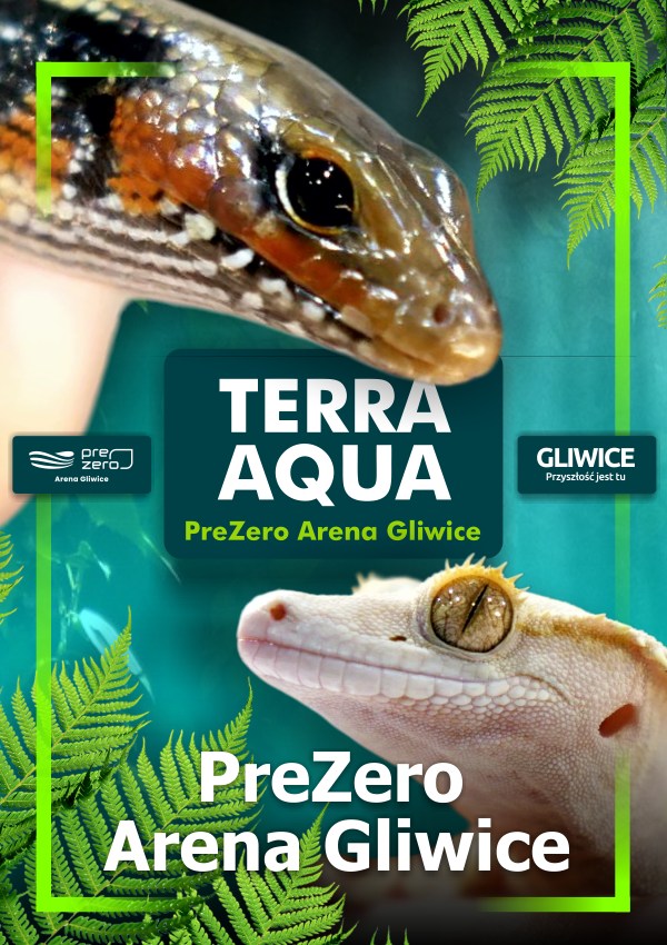 TERRA  AQUA GLIWICE / TARGI AKWARYSTYKI / PIĘKNO RĘKODZIEŁA  / WYSTAWA PAJĄKÓW Gliwice