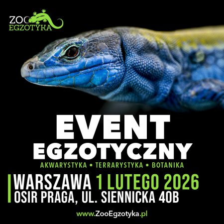 ZooEgzotyka Warszawa - targi