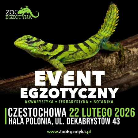 ZooEgzotyka - Częstochowa - targi