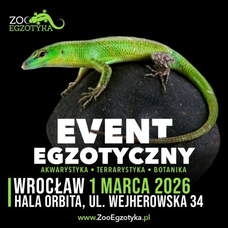 ZooEgzotyka Wrocław - targi