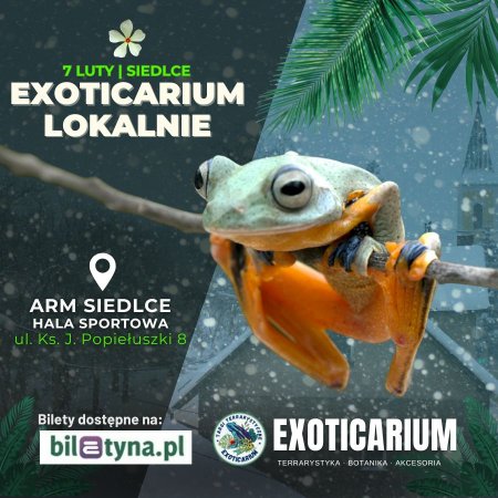 EXOTICARIUM LOKALNIE Targi Terrarystyczne Siedlce 7 luty - targi