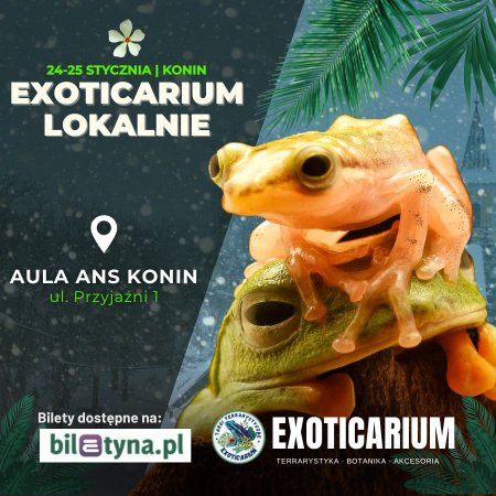 EXOTICARIUM LOKALNIE Targi Terrarystyczne Konin dwudniowe 24-25 stycznia - targi