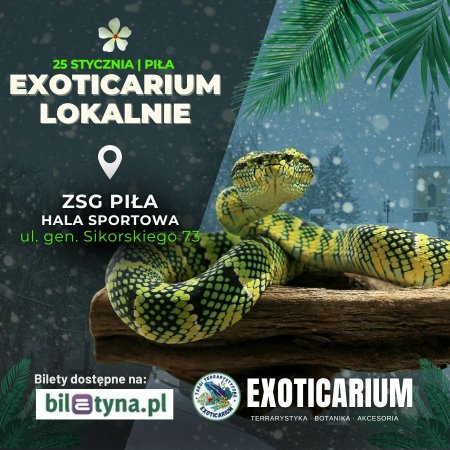 EXOTICARIUM LOKALNIE Targi Terrarystyczne Piła - targi