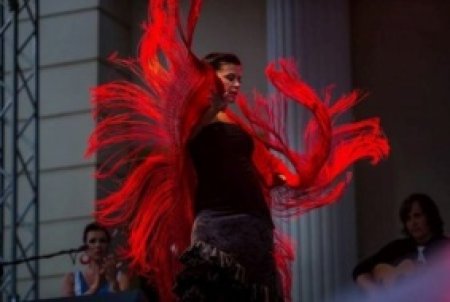 Koncert FLAMENCO - koncert