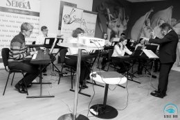 Elektroniczna Orkiestra "Laboratorium dźwięku" - "Muzyczne obrazy" - koncert