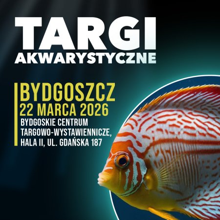 Targi Akwarystyczne - Bydgoszcz - targi