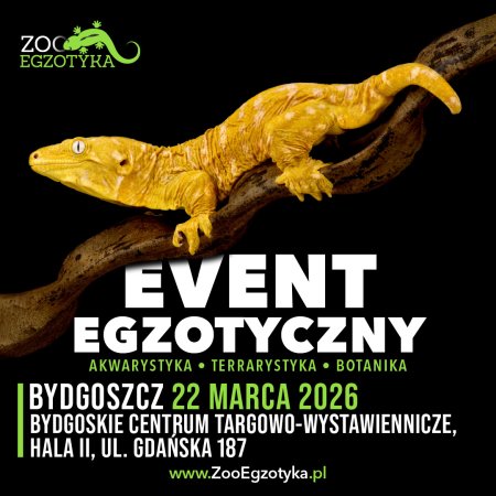 ZooEgzotyka - Bydgoszcz - targi