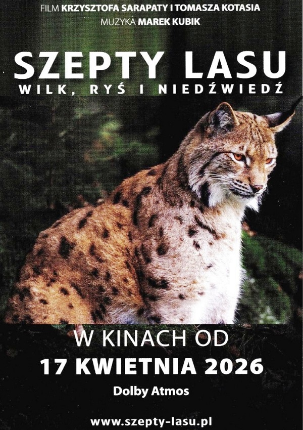 SZEPTY LASU Wadowice