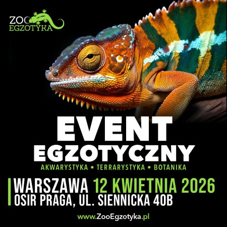 ZooEgzotyka Warszawa - targi
