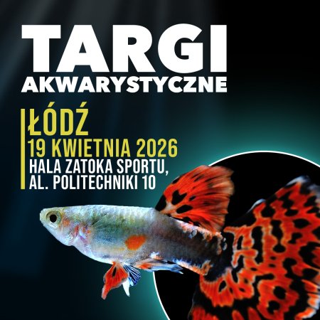 Targi Akwarystyczne Łódź - targi
