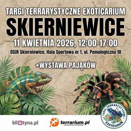 Skierniewice - Targi Terrarystyczne Exoticarium + Wystawa Pająków - targi