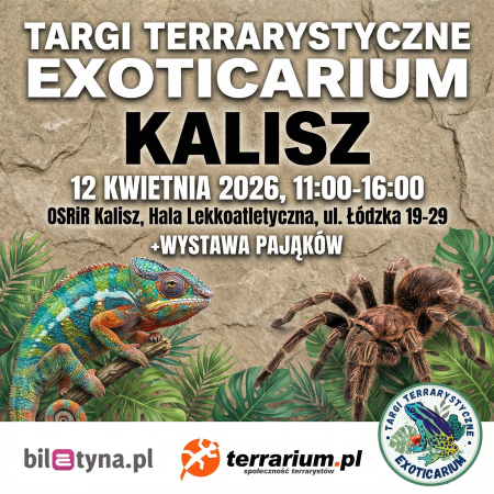 Kalisz - Targi Terrarystyczne Exoticarium + Wystawa Pająków - targi