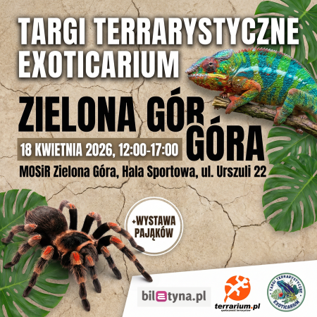 Zielona Góra - Targi Terrarystyczne Exoticarium + Wystawa Pająków - targi