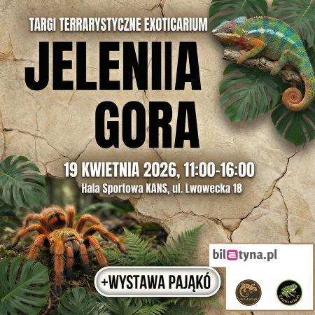 Jelenia Góra - Targi Terrarystyczne Exoticarium + Wystawa Pająków - targi
