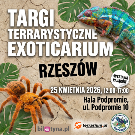 Rzeszów - Targi Terrarystyczne Exoticarium + Wystawa Pająków - targi