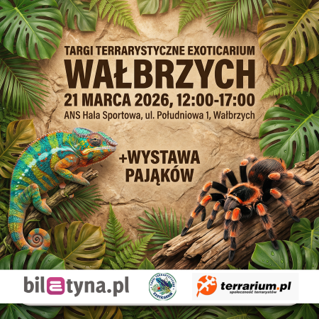 Wałbrzych - Targi Terrarystyczne Exoticarium + Wystawa Pająków - targi