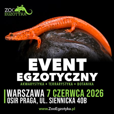 ZooEgzotyka Warszawa - targi