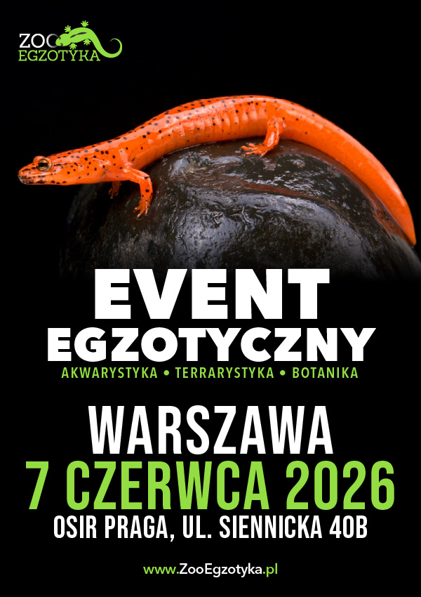 ZooEgzotyka Warszawa Warszawa