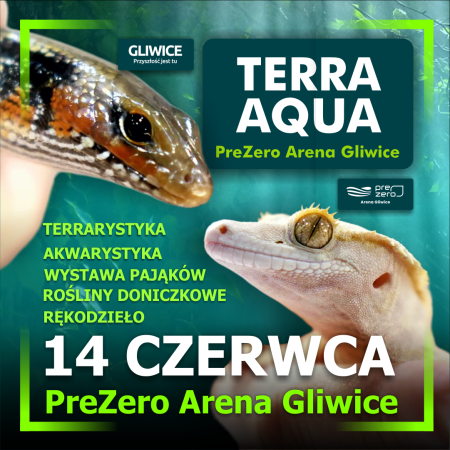 TERRA  AQUA GLIWICE / TARGI AKWARYSTYKI / PIĘKNO RĘKODZIEŁA  / WYSTAWA PAJĄKÓW - targi