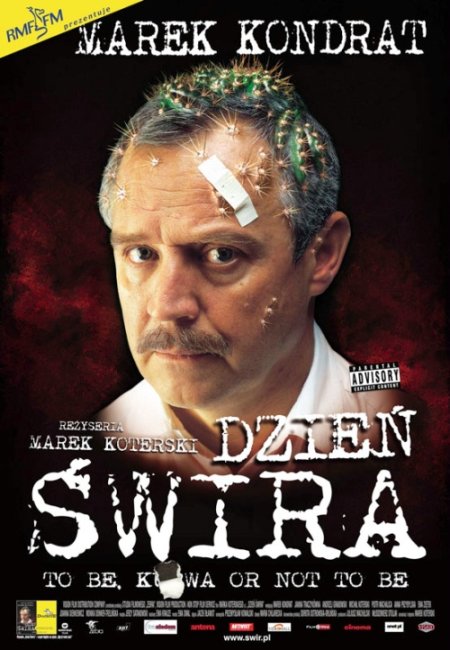 Dzień świra - film