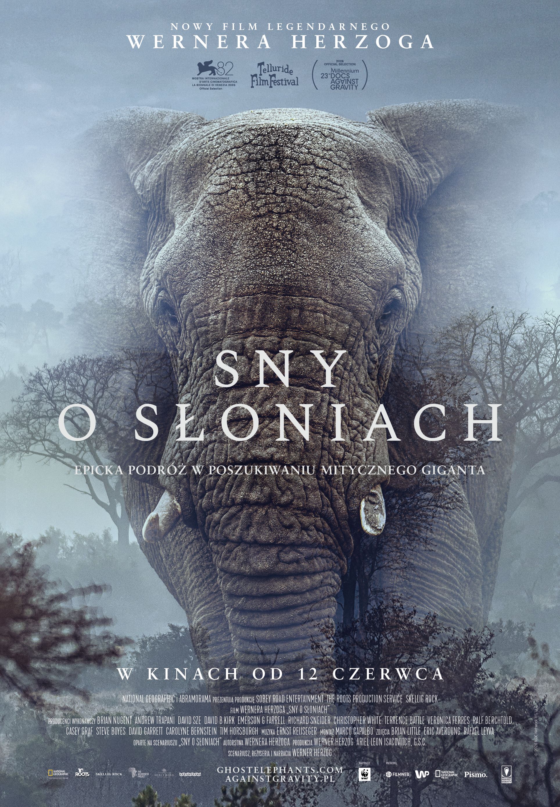 Sny o słoniach: KADR NON-FICTION Warszawa
