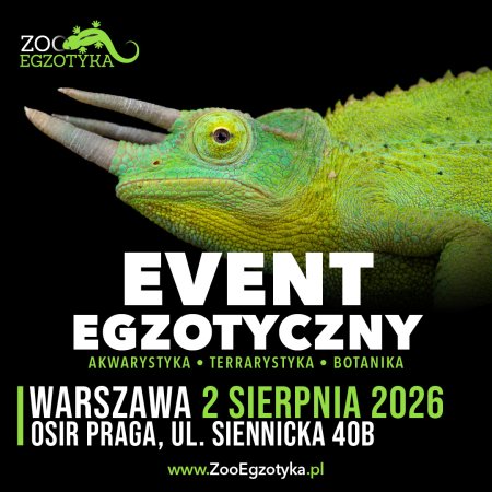 ZooEgzotyka Warszawa - targi