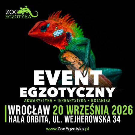ZooEgzotyka Wrocław - targi