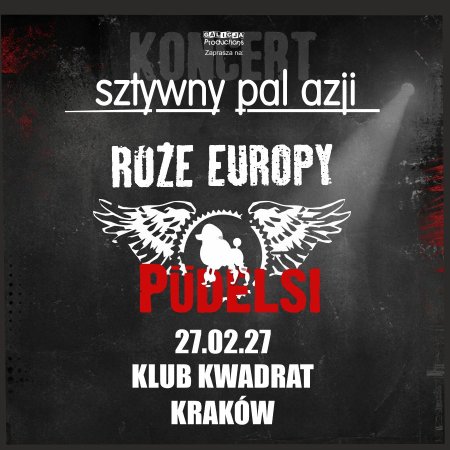 Sztywny Pal Azji, Róże Europy, Pudelsi - koncert