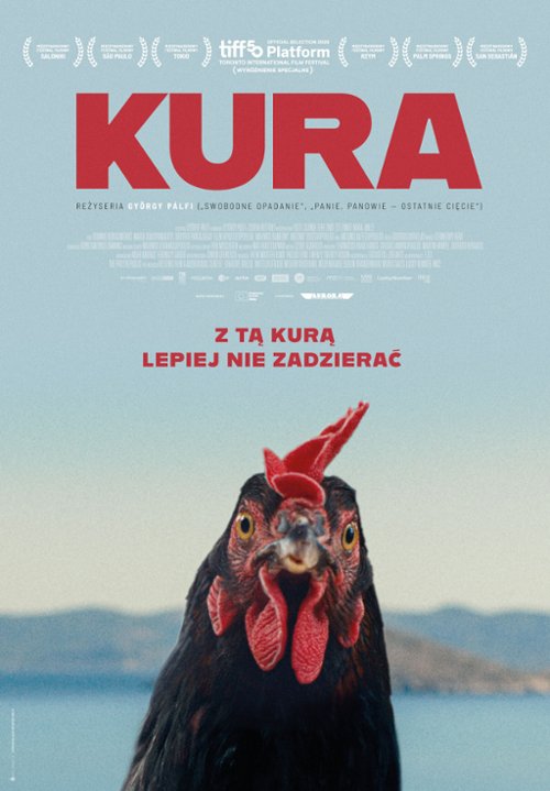 Kura Nowy Dwór Mazowiecki