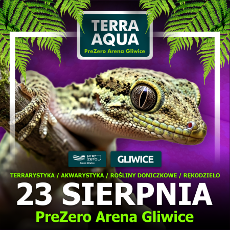 TERRA  AQUA GLIWICE / TARGI AKWARYSTYKI / PIĘKNO RĘKODZIEŁA  / WYSTAWA PAJĄKÓW - targi