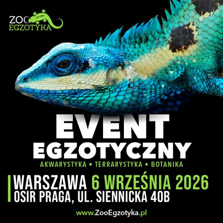 ZooEgzotyka Warszawa - targi