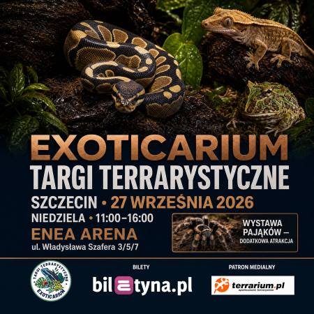 Szczecin - Targi Terrarystyczne Exoticarium + Wystawa Pająków - targi