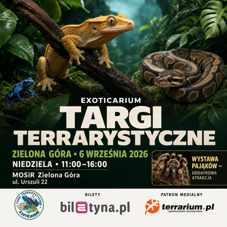 Zielona Góra - Targi Terrarystyczne Exoticarium + Wystawa Pająków - targi