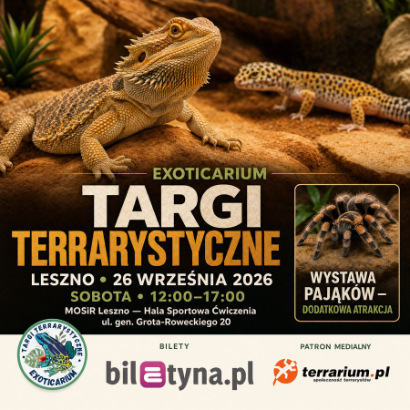 Leszno - Targi Terrarystyczne Exoticarium + Wystawa Pająków - targi