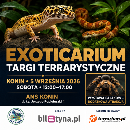 Konin - Targi Terrarystyczne Exoticarium + Wystawa Pająków - targi