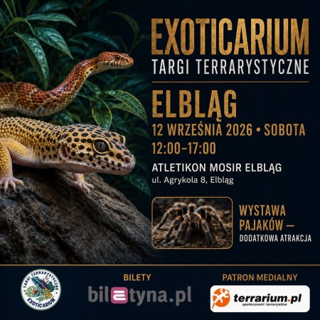 Elbląg - Targi Terrarystyczne Exoticarium + Wystawa Pająków - targi