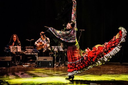 Los Colores Del Flamenco - Danza del Fuego - koncert