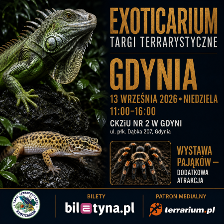 Gdynia - Targi Terrarystyczne Exoticarium + Wystawa Pająków - targi