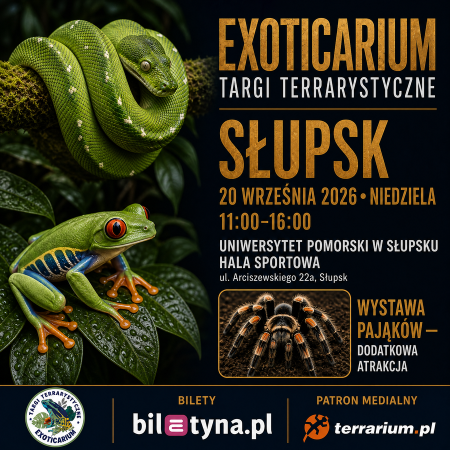 Słupsk - Targi Terrarystyczne Exoticarium + Wystawa Pająków - targi