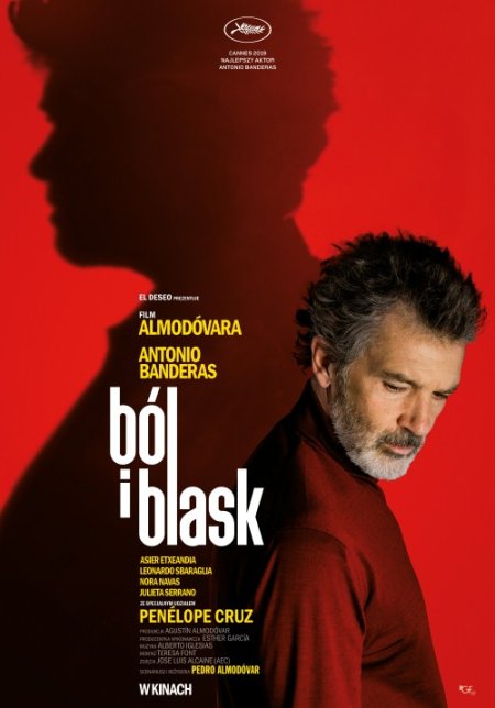 Ból i blask - film