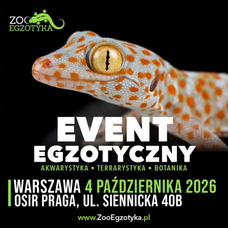 ZooEgzotyka Warszawa - targi